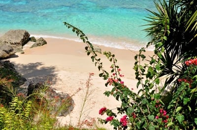 Luxury Villa Photo #11