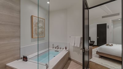 Primary ensuite shower and tub