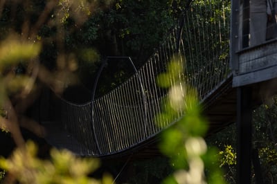 Safari Lodge Swinging Bridge