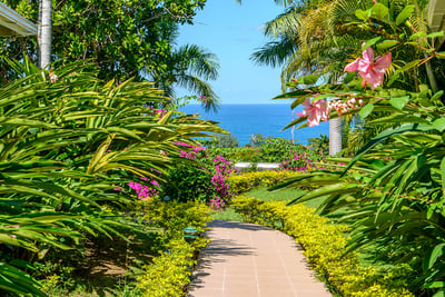 Luxury Villa Photo #7