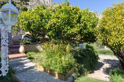 Luxury Villa Photo #11