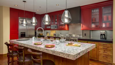 Gourmet kitchen