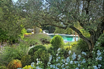 Luxury Villa Photo #4