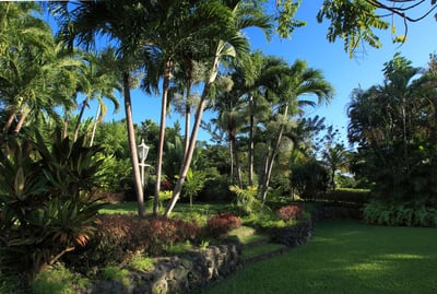Luxury Villa Photo #16