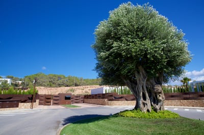 Luxury Villa Photo #7