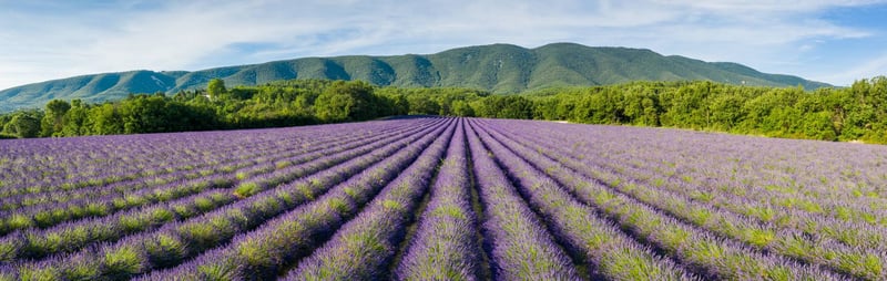 Bastide de St. Martin