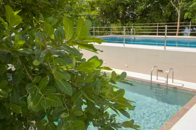 Luxury Villa Photo #17
