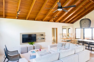 Luxury Villa Photo #6