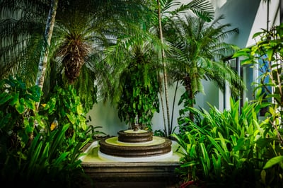 Luxury Villa Photo #18