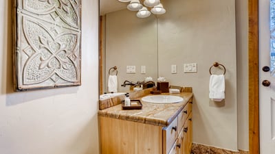 Main level hall bath with access to hot tub