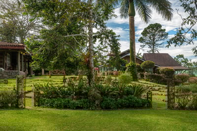 Luxury Villa Photo #21