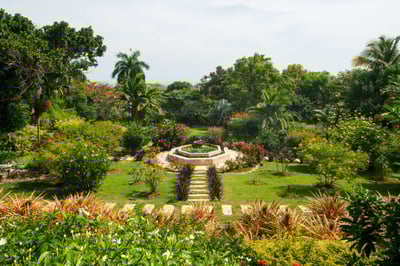 Luxury Villa Photo #8