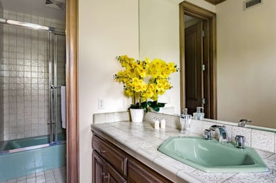 Luxury Villa Photo #39