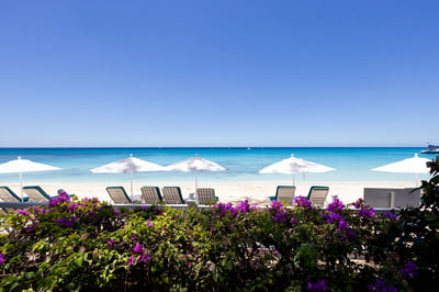 Luxury Villa Photo #23