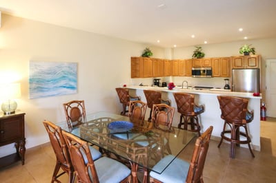 Luxury Villa Photo #3