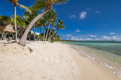 Luxury Villa Photo #12