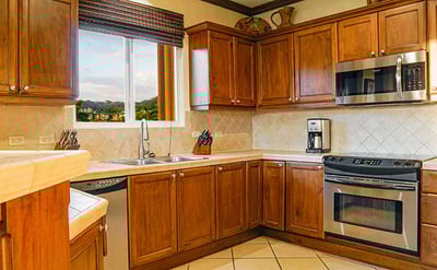 Luxury Villa Photo #5