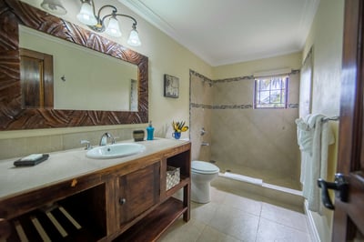 Luxury Villa Photo #25