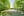 Chateau Tils villa rental in Temple Sur Lot - 24