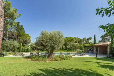 Luxury Villa Photo #3