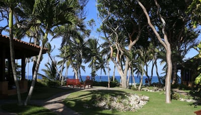 Luxury Villa Photo #8
