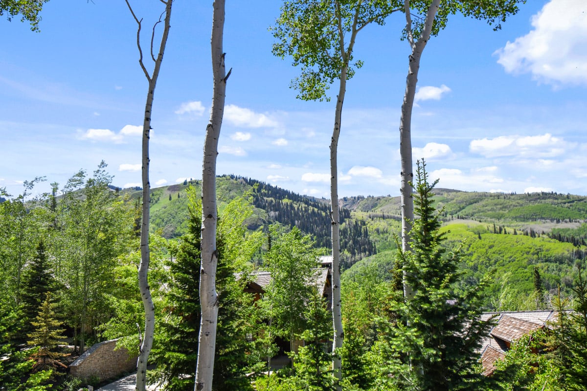 Arrowleaf Lodge #107