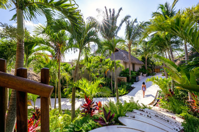 Luxury Villa Photo #67