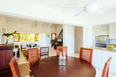 Luxury Villa Photo #3