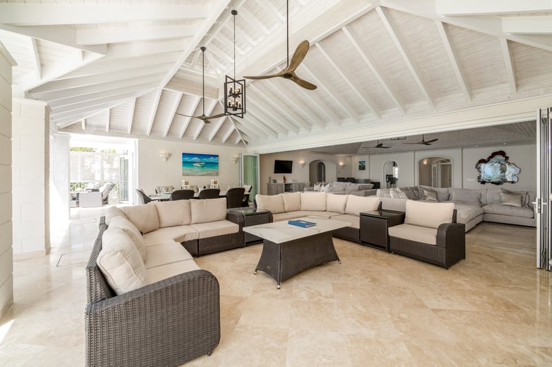 Old Trees 302 | La Mirage