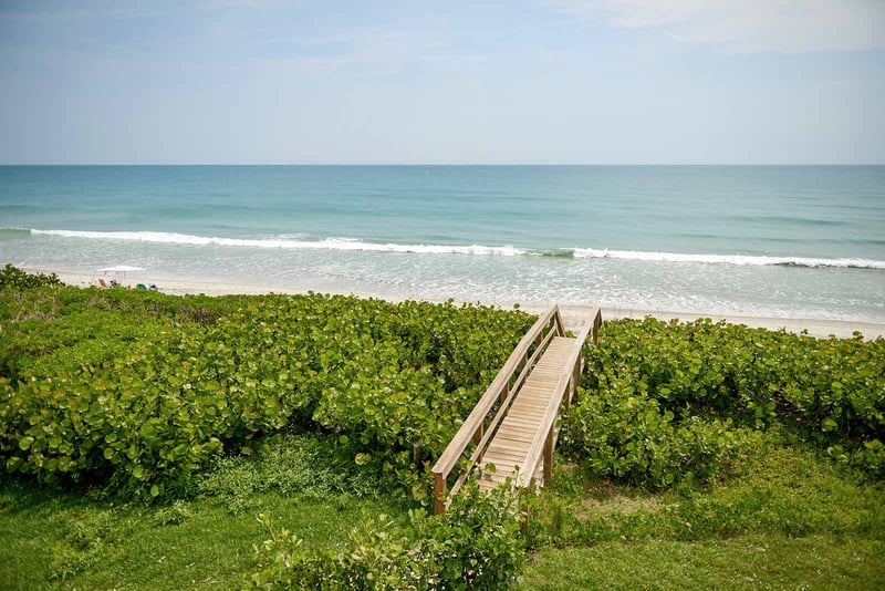 High Roller at Harbor Island Beach Club