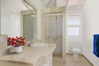 Luxury Villa Photo #20