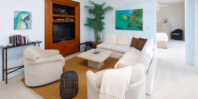 Luxury Villa Photo #15