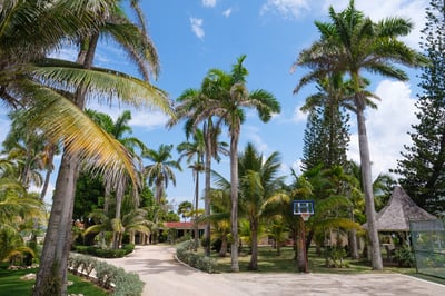 Luxury Villa Photo #22