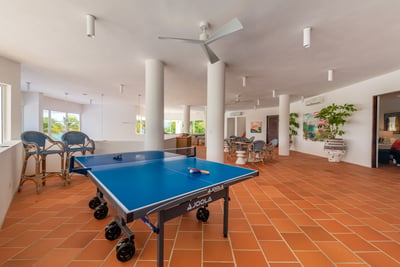 Luxury Villa Photo #31