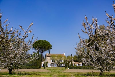 Luxury Villa Photo #4