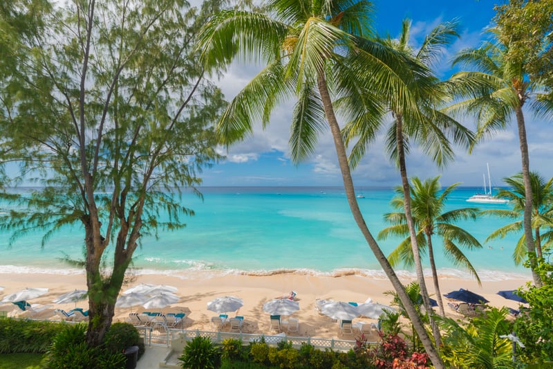 Sea Breeze at Old Trees