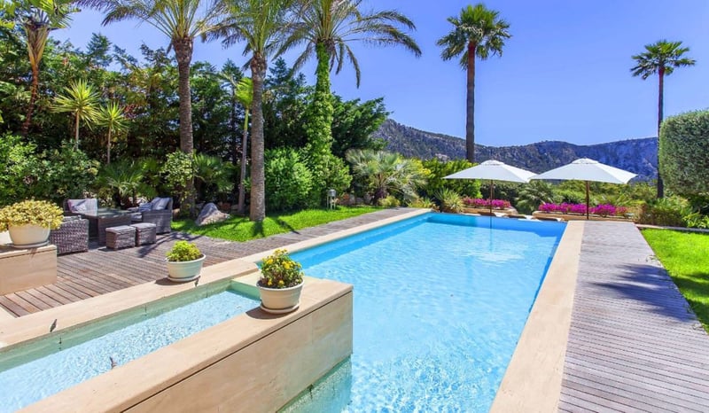 Palmeras de Mallorca