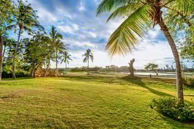 Luxury Villa Photo #4