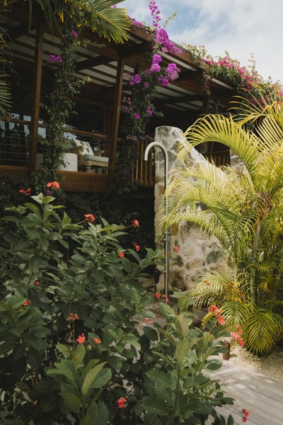 Luxury Villa Photo #8