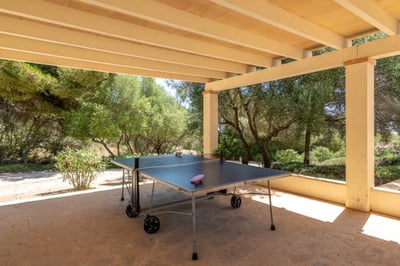 Luxury Villa Photo #11