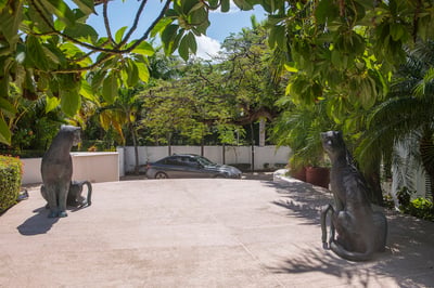 Luxury Villa Photo #26