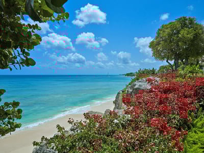 Luxury Villa Photo #7