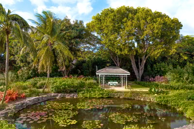 Luxury Villa Photo #7