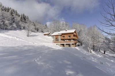 Luxury Villa Photo #39