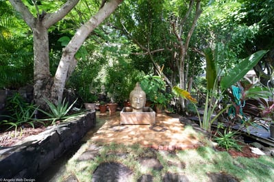 Outdoors: Tropical gardens with beautiful lighting.