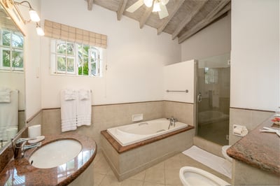 Luxury Villa Photo #30
