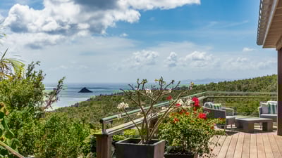 Luxury Villa Photo #15