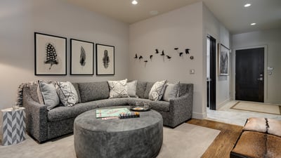 Lower level family room