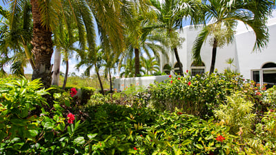 Luxury Villa Photo #12