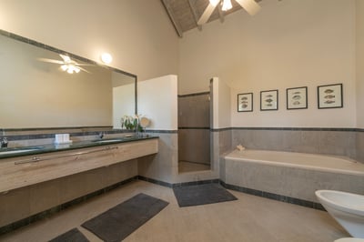 Luxury Villa Photo #23